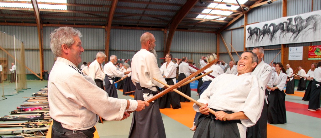 Professeur aïkido du dojo Plouha Quintin dojo 22 epa ista